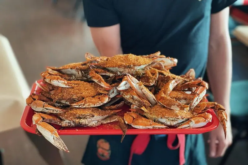 Crab House (Rehoboth Beach)