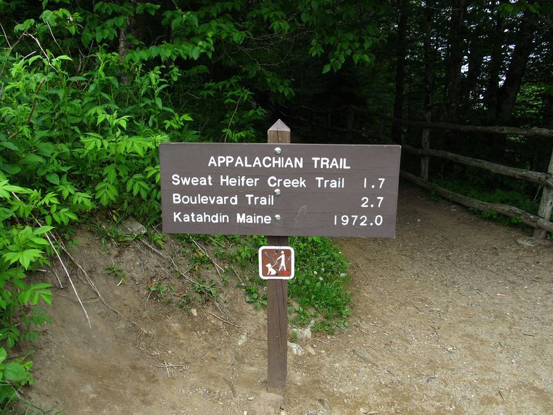 Hiking the Appalachian Trail near town