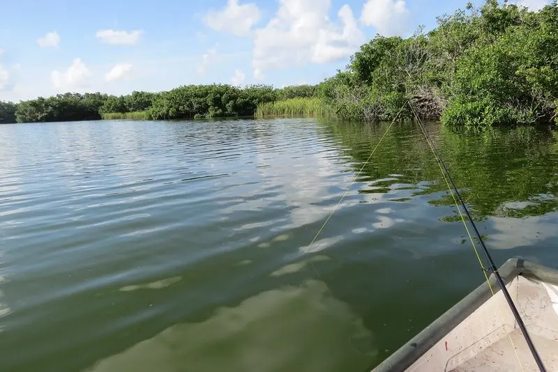 Fishing Traditions