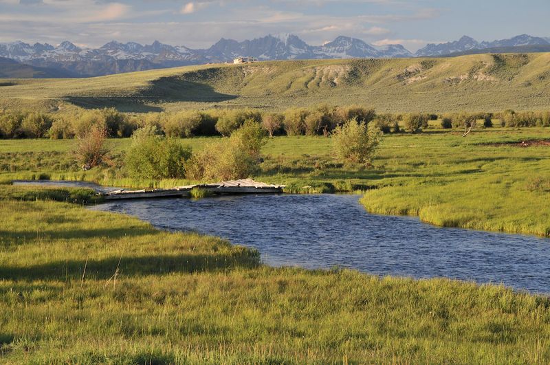 Pinedale