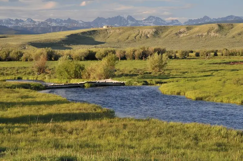 Pinedale
