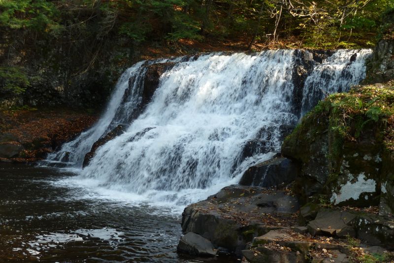 Wadsworth Falls & Middletown Stroll