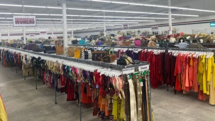 Thrift stores across Florida where treasure hunting pays off