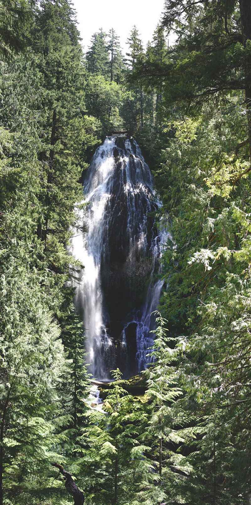 Proxy Falls (Willamette National Forest)