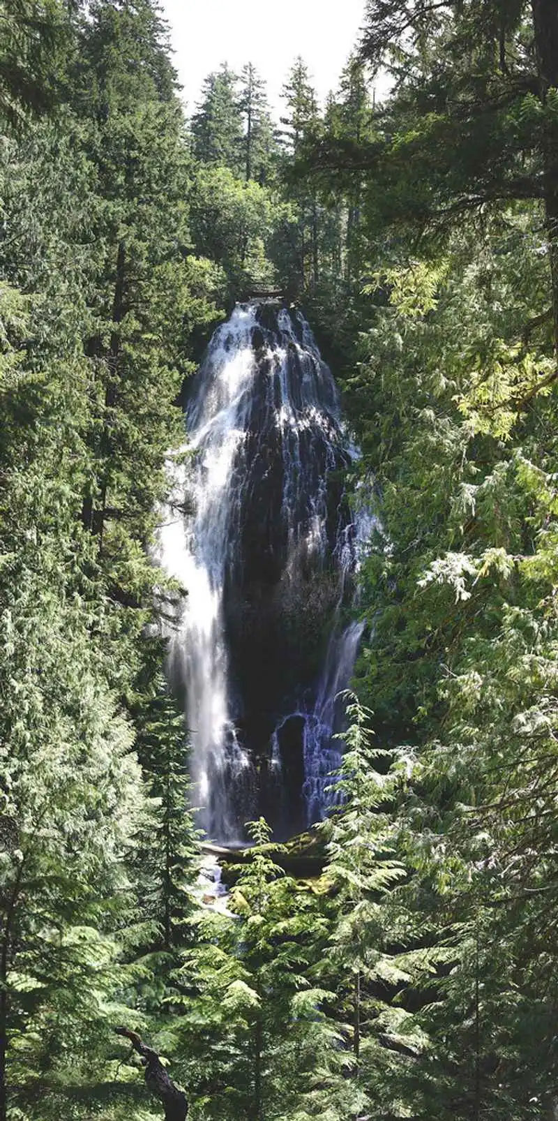 Proxy Falls (Willamette National Forest)