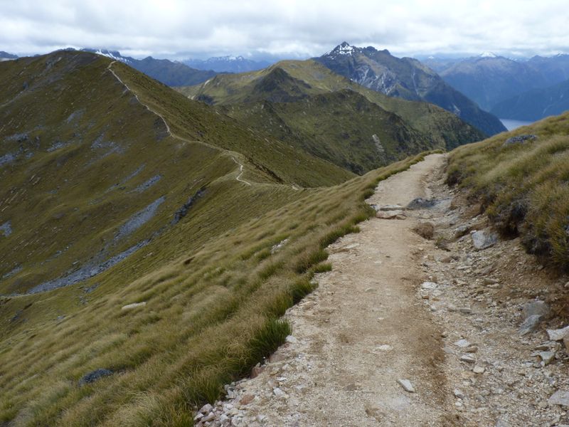 Kepler Track (Fiordland National Park)