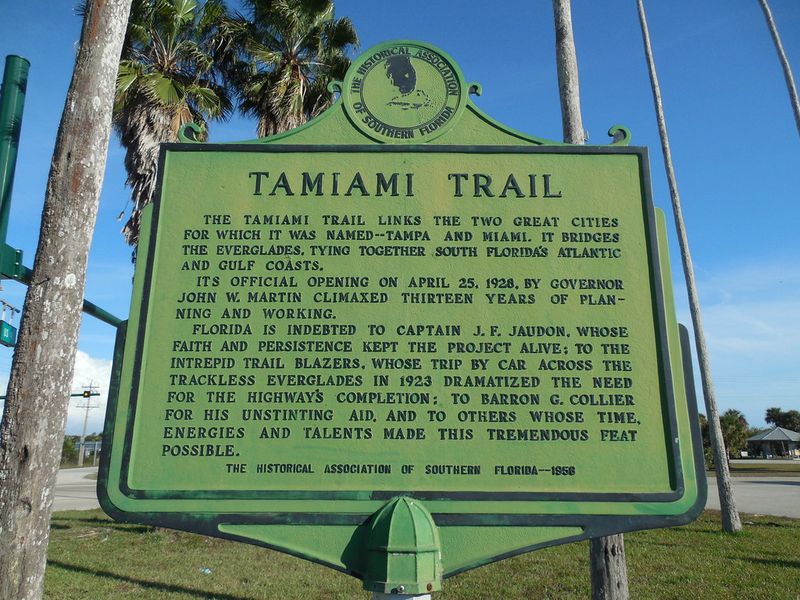 Drive the Scenic Tamiami Trail