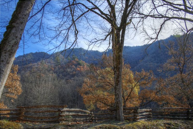 Birdwatching in Nantahala National Forest