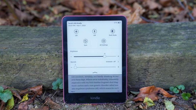 Entertainment (Books, Tablet, or E-Reader)