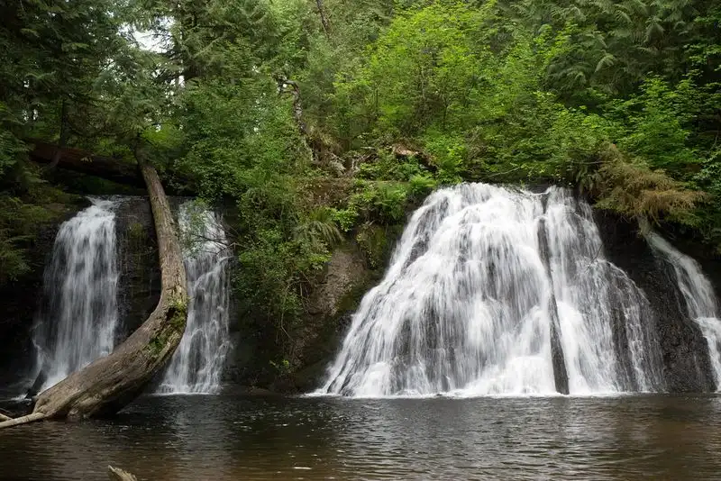 Cherry Creek Falls Trail