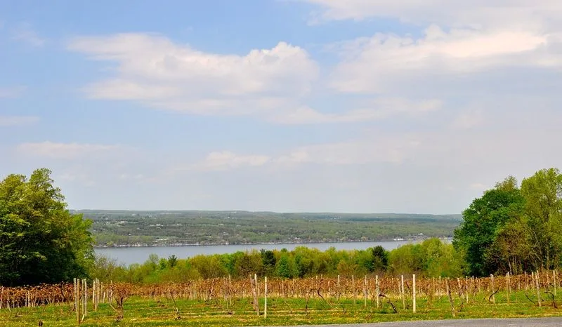 Finger Lakes Wine Trail, New York