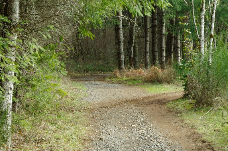 Milo McIver State Park