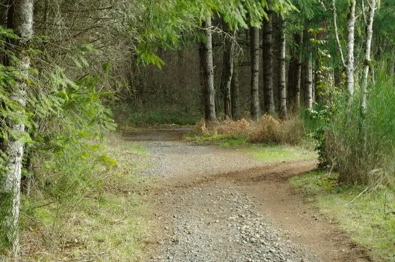 Milo McIver State Park