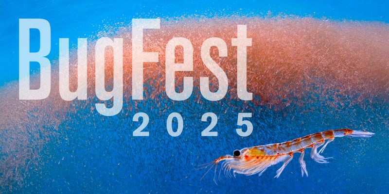 Bug Fest in Raleigh