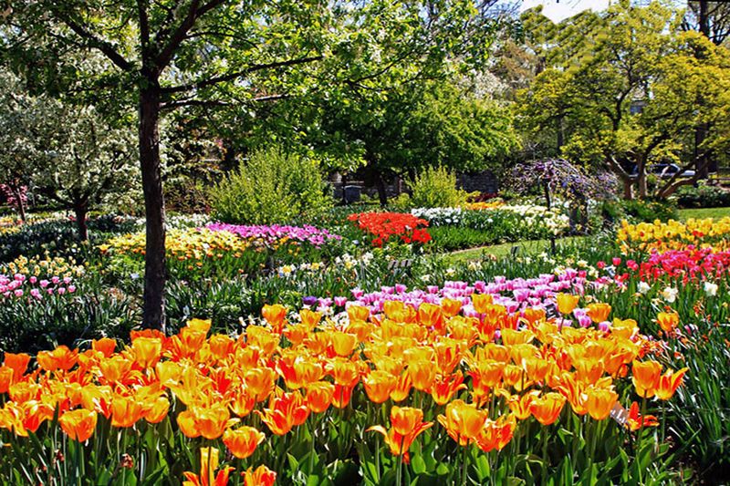 Missouri Botanical Garden, St. Louis, Missouri