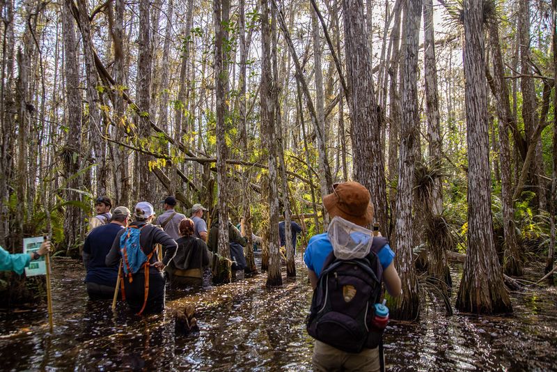 Engage with Park Programs