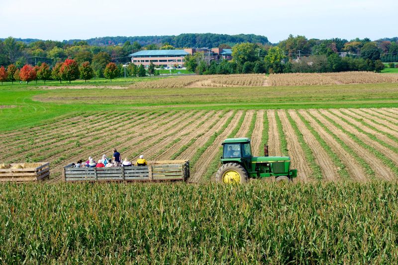 Shady Brook Farm
