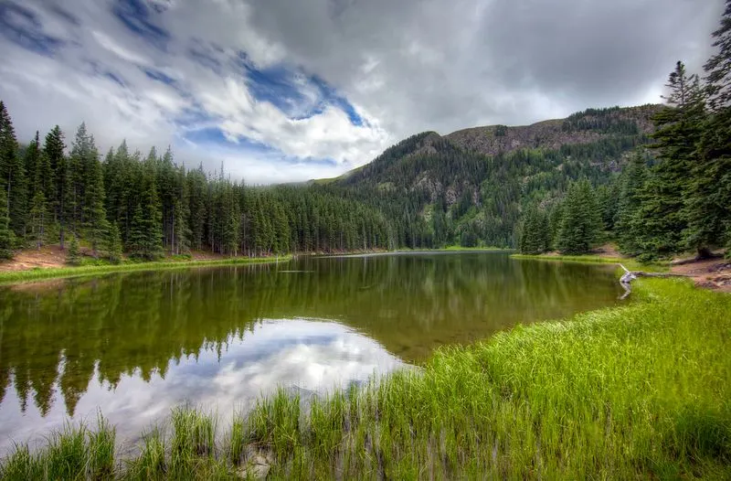 Carson National Forest