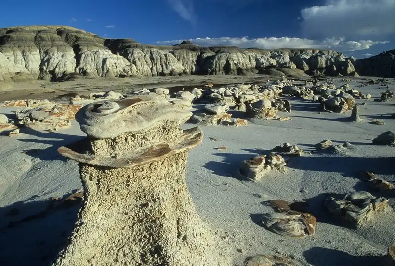Bisti/De-Na-Zin Wilderness, New Mexico