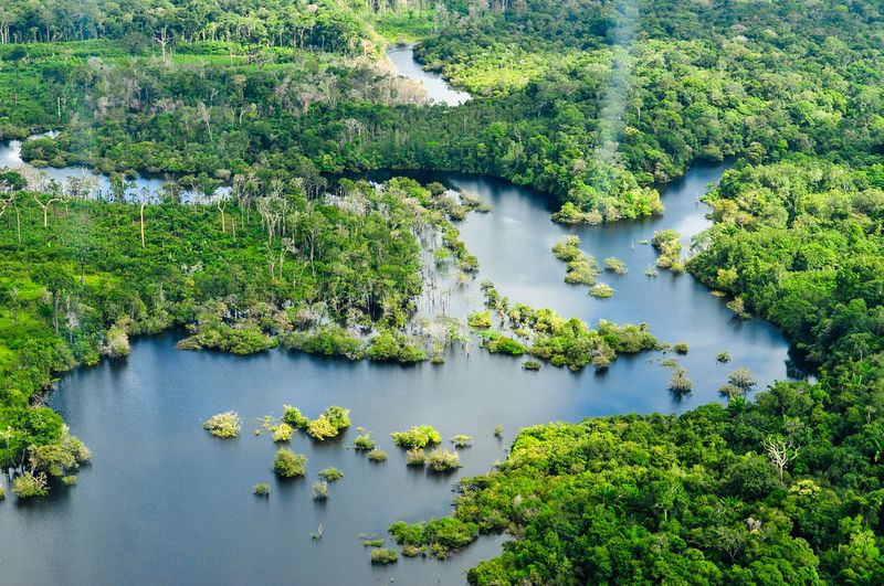 Amazon Rainforest