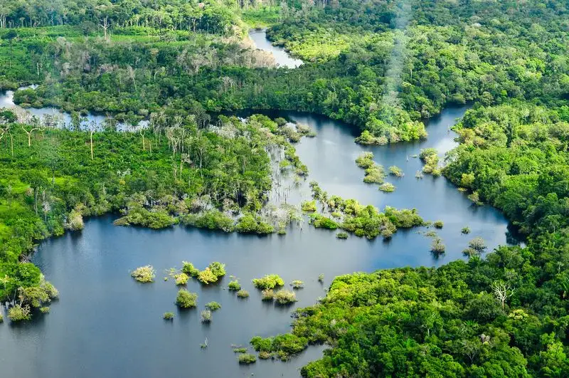 Amazon Rainforest