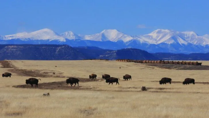 Vermejo is where New Mexico’s wilderness feels endless