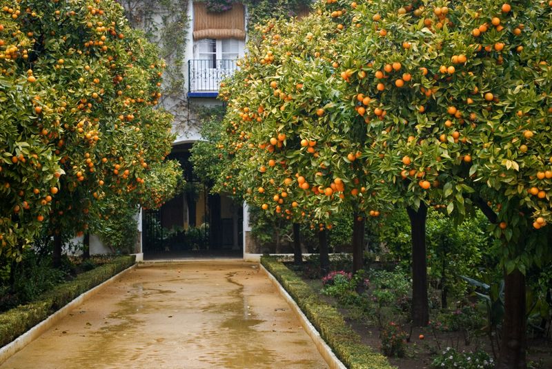 Seville, Spain