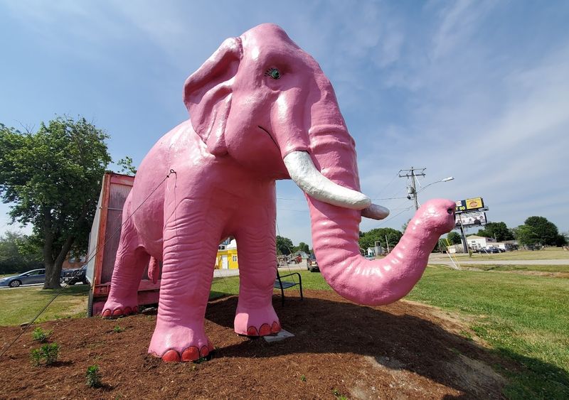 The Pink Elephant – Forest Park