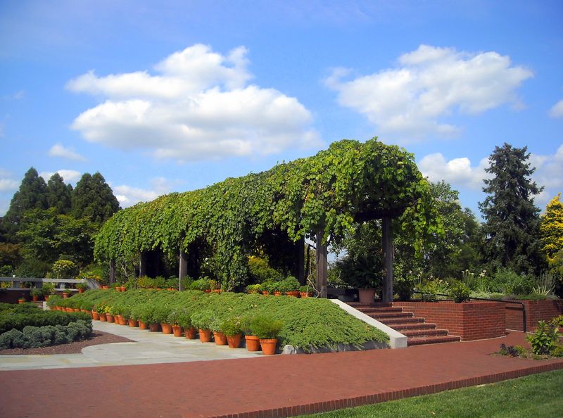 Experience the National Arboretum