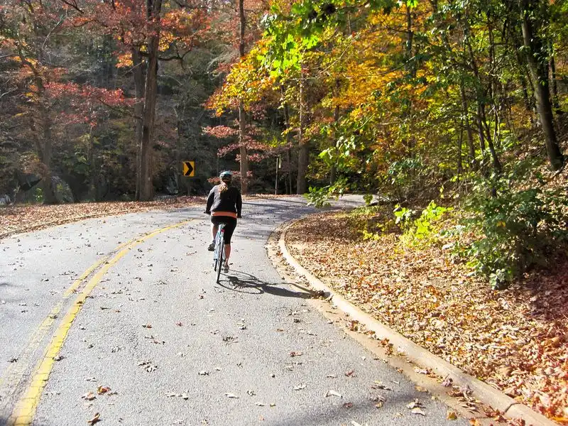 Relax at Rock Creek Park