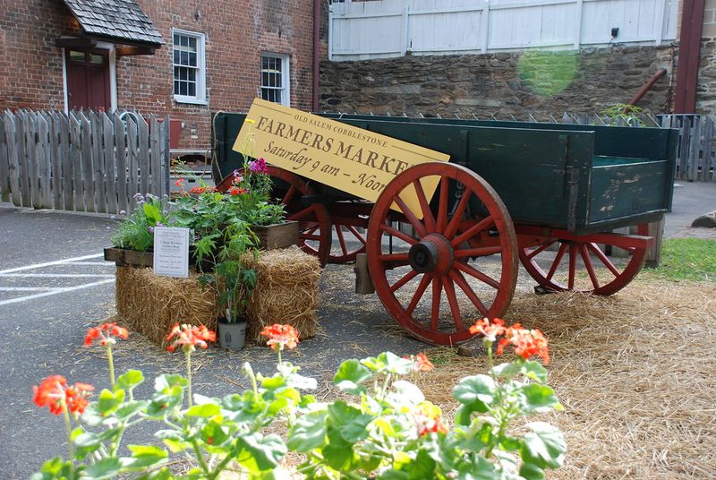 Salem’s Farmers’ Market & Food Adventures