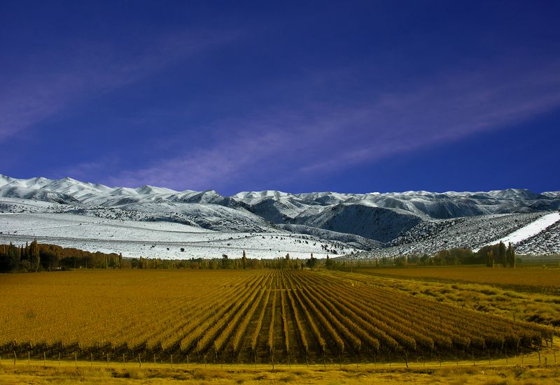 Wine tasting in Mendoza