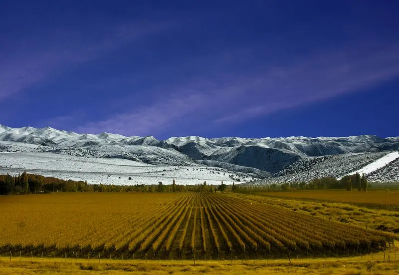 Wine tasting in Mendoza