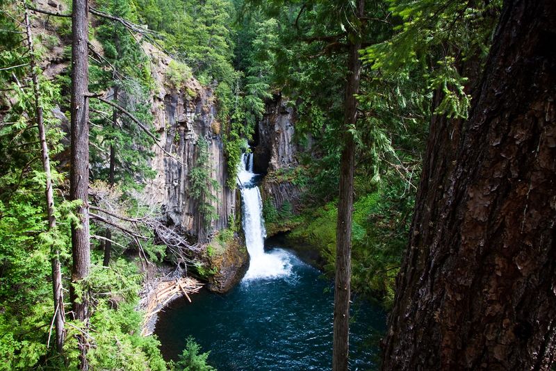 Toketee Falls (Umpqua National Forest)
