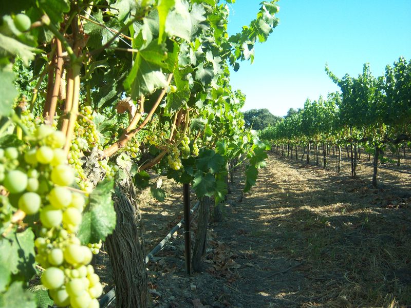 Santa Barbara County, California