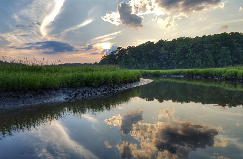 York River State Park