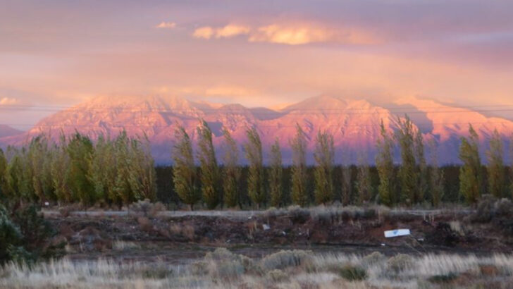 Wasatch Mountain State Park: A Family Camping and Hiking Haven