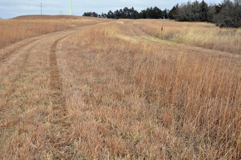 Butterfield Overland National Historic Trail
