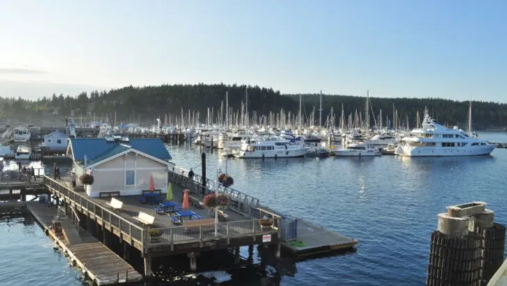 Washington’s most atmospheric small towns serve up misty forests, coffee roasting culture, and kayak adventures