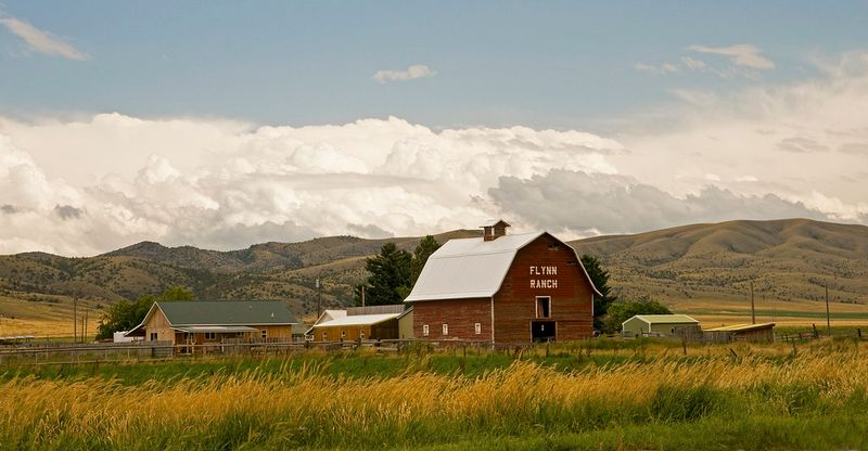 Morning Chores on the Ranch