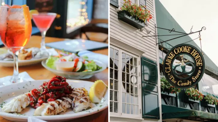 Where to Enjoy the Best Seafood in Newport, Rhode Island