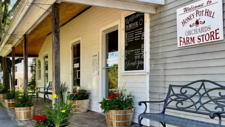 Where to go apple-picking near Boston this season