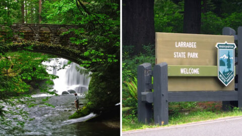 Why Bellingham Should Be Your Next Pacific Northwest Escape