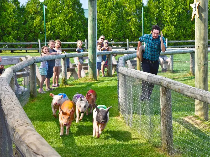 Harbes Family Farm