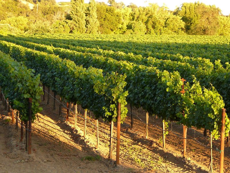 Sonoma County, California