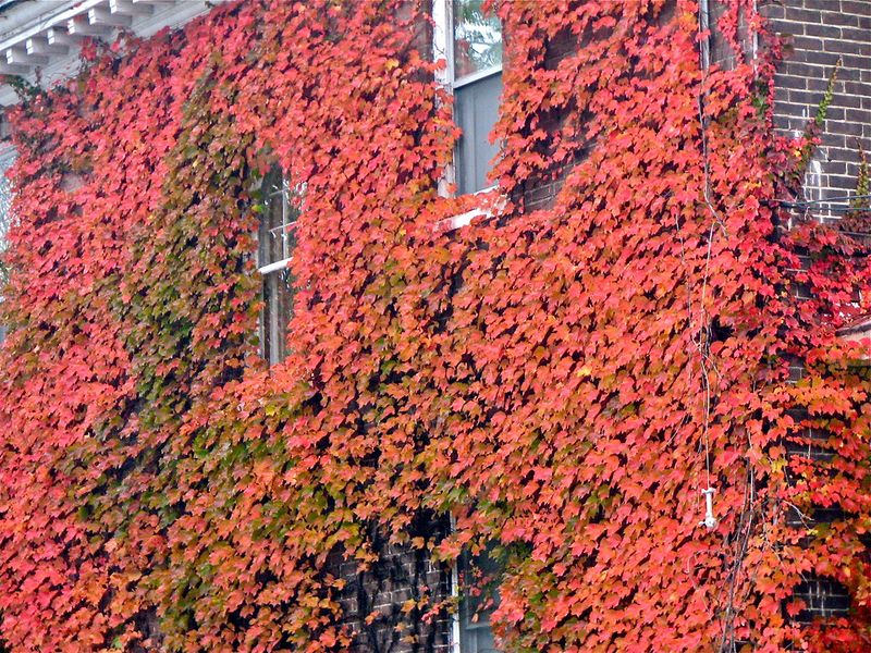 Burlington, Vermont