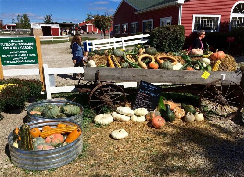 Plymouth Orchards & Cider Mill