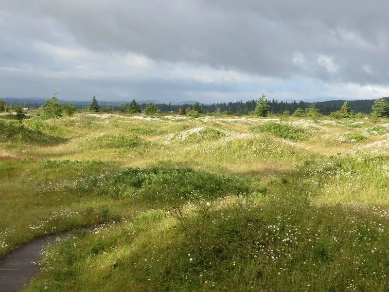 Mima Mounds Natural Area Preserve (Olympia)