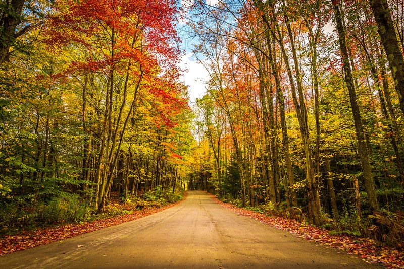 Covered Bridges & Country Roads