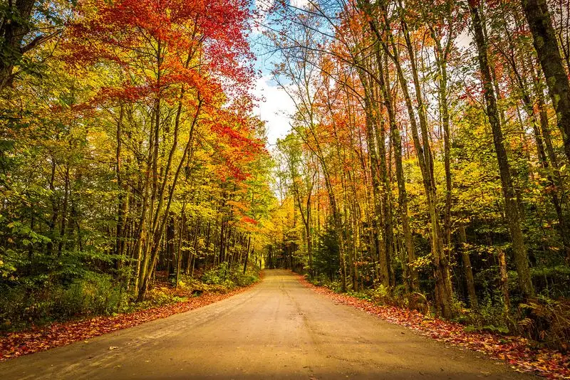 Covered Bridges & Country Roads